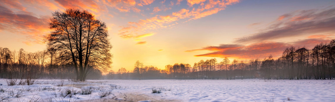 Utbildningar i februari | Hjärtum Utbildning