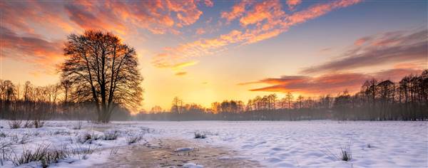 Utbildningar i februari | Hjärtum Utbildning