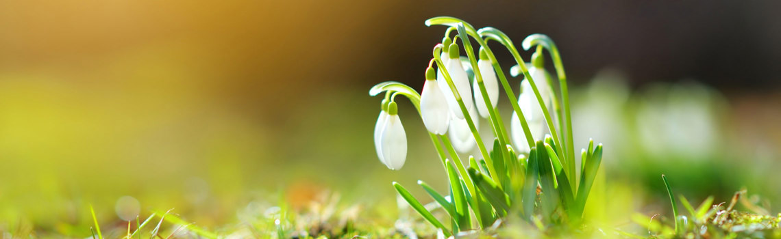Utbildningar i mars | Hjärtum Utbildning