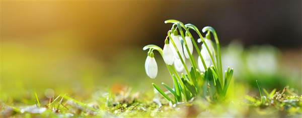 Utbildningar i mars | Hjärtum Utbildning