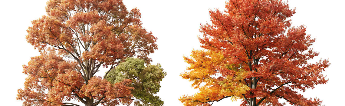 Utbildning i november | Hjärtum Utbildning