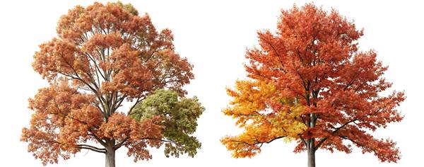 Utbildning i november | Hjärtum Utbildning