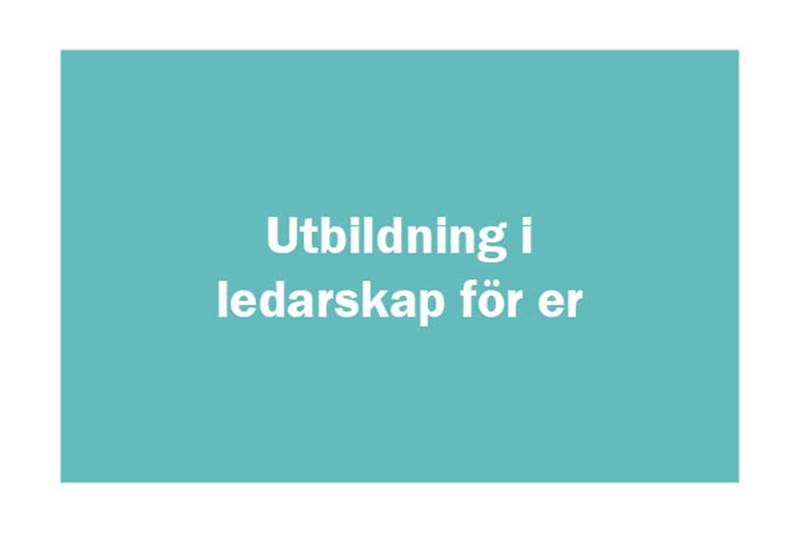 Utbildning i ledarskap